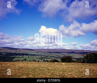 Blick über Wensleydale in die Richtung der Askrigg gemeinsamen aus Penhill Yorkshire Dales England Stockfoto