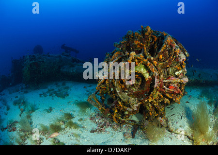 B-24 Liberator Bomber Wrack, Vis, Adria, Kroatien Stockfoto