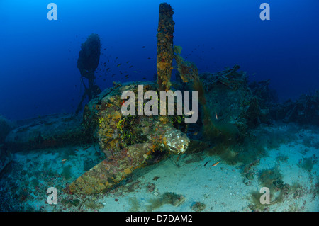 B-24 Liberator Bomber Wrack, Vis, Adria, Kroatien Stockfoto