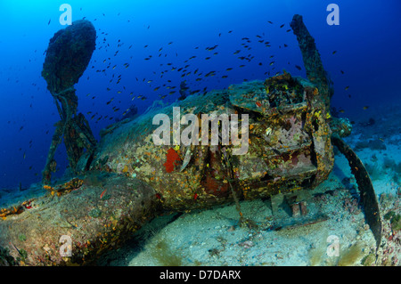 B-24 Liberator Bomber Wrack, Vis, Adria, Kroatien Stockfoto