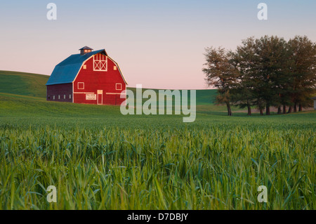 Rote Scheune mit "Palouse Land" Zeichen in Weizen Feld, Uniontown, eastern Washington. Stockfoto