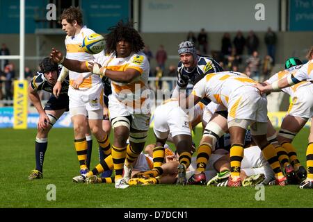 Salford, UK. 4. Mai 2013. London Wasps Flanker Ashley Johnson bei der Aviva Premiership Rugby-match zwischen Verkauf Haifische und London Wasps aus Salford-City-Stadion. Bildnachweis: Aktion Plus Sportbilder / Alamy Live News Stockfoto