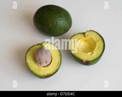 Avocado (Persea Americana) Stockfoto