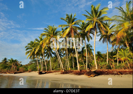 Strand von Pantar, Alor Archipel, Indonesien Stockfoto