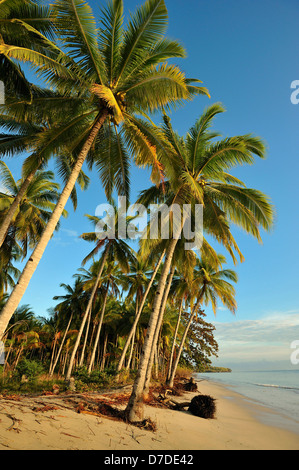 Strand von Pantar, Alor Archipel, Indonesien Stockfoto