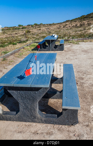 Picknick-Tisch mit Whirlygig Western Möwen, Larus Occidentalis, Santa Cruz Island, Channel Islands Nat Park Zucht zu halten Stockfoto