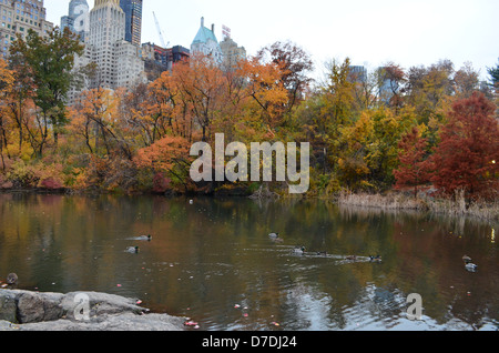 Teich im Central Park am Central Park South, New York City Stockfoto