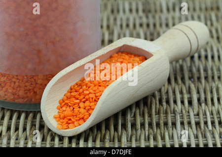 Trockene rote Linsen in hölzerne Schaufel Stockfoto