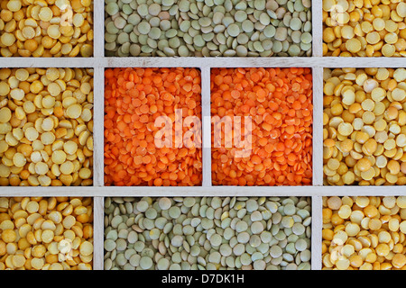 Auswahl der Linsen in hölzernen Fächer Stockfoto