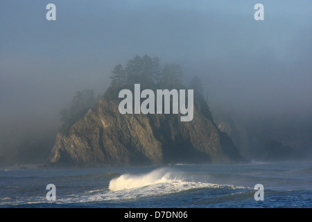 Wellen am Strand Realto, Olimpic Nationalpark, Washington, USA Stockfoto