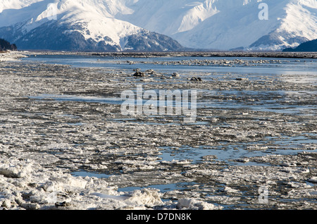 Turnagain Arm im Winter Stockfoto