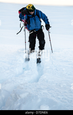 Cross Country Ski in Alaska Stockfoto