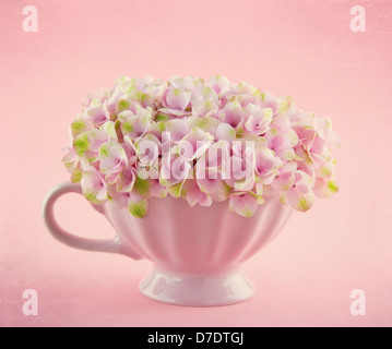 Rosa Hortensie Blumen in einem schäbigen chic Becher auf Pastell Vintage-Hintergrund mit Textfreiraum Stockfoto