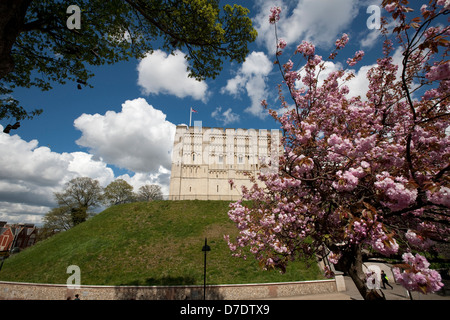 Norwich Castle Norfolk Stockfoto