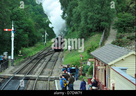 Dampf-Zug Ankunft am Bahnhof Goathland Menschen, Dampf, Bahnlinien Stockfoto