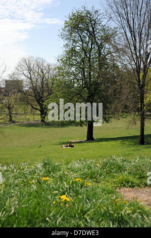 Brighton, Sussex UK wärmt 5. Mai 2013 - Frühlingssonne für das Feiertagswochenende im Queens Park Brighton heute Stockfoto