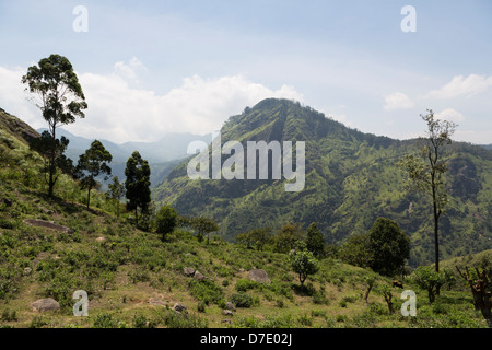 Ellas Rock Aussicht von Ella little Adams Peak, Hügelland, Sri Lanka Stockfoto