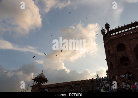 Südeingang der Jama Masjid (Moschee) in Neu Dehli, Indien Stockfoto