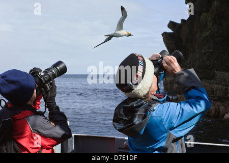 Zwei Frauen Birdwatching auf einen Ausflug mit dem Boot zu sehen, Tölpeln nisten auf Seeklippen mit einem Gannett flying Overhead im Mai. Noss Shetland Inseln Schottland Großbritannien Stockfoto