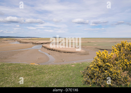 Blick über Lavan Sand / Traeth Lafan Sand und Watt von Glan y Mor Elias Küstenlandschaft zu reservieren. Conwy, North Wales, UK Stockfoto