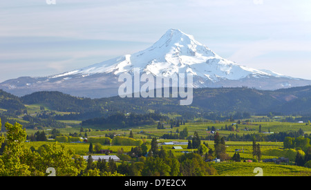 Mt. Hood und Hood River Valley, Oregon. Stockfoto