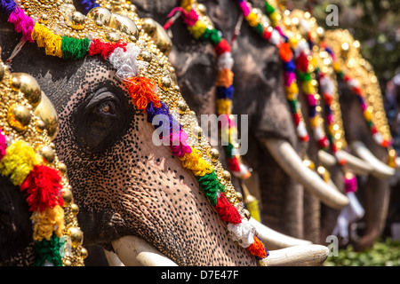 Thrissur Pooram, hinduistische Tempelfest in Thrissur, Kerala, Südindien Stockfoto