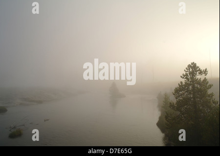 Dawn Sonne durch geothermische Dampf Nebel über dem Flüsschen Bank Pinie Firehole River, Upper Geyser Basin, Yellowstone Stockfoto