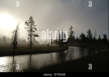 Dawn Sonne durch geothermische Dampf Nebel über Pinien spiegelt Firehole River bend, Upper Geyser Basin, Yellowstone Stockfoto