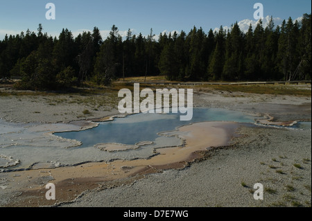 Blauer Himmel Blick auf grüne Pinien Bäumen Wald, graue Sinter blaue Wasser Wams Pool, Geyser Hill, Upper Geyser Basin, Yellowstone, USA Stockfoto