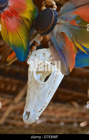 Einen kleinen Kaiman Schädel angezeigt als Halskette Charme in ein Stammes-Dorf im peruanischen Amazonasgebiet Stockfoto