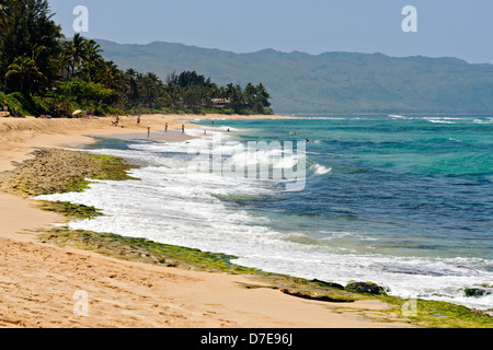 Turtle Beach, Oahu North Shore Stockfoto