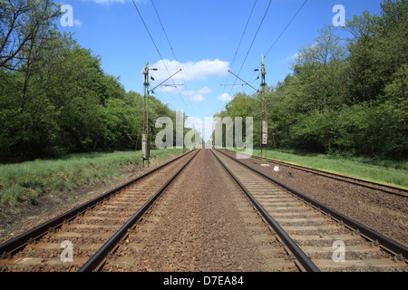 Schienen Sie in die Ferne führen. Stockfoto