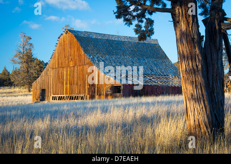 Baufälligen Scheune Gebäude in den Biegebereich von Zentral-Oregon Stockfoto