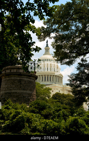 Das US Capitol Building in Washington, D.C. künstlerisch umrahmt durch Bäume Stockfoto