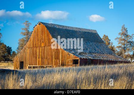 Baufälligen Scheune Gebäude in den Biegebereich von Zentral-Oregon Stockfoto