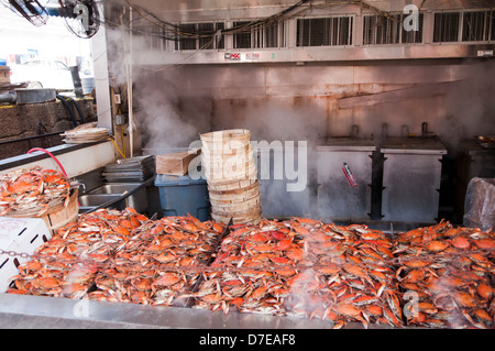 Dampfend heiß frisch gekochten blaue Krabben an der Washington DC Waterfront Wharf an der Maine Avenue Stockfoto