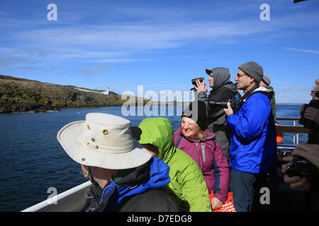 Firth of Forth, Schottland, Großbritannien. 5. Mai 2013. Ausflügler nutzen das gute Wetter und genießen gerade die Papageientaucher, Tordalken und Trottellummen auf einer Reise an Bord der kann Prinzessin von Anstruther in Fife zur Isle of kann nationalen Naturreservat im Firth of Forth. Bildnachweis: PictureScotland / Alamy Live News Stockfoto