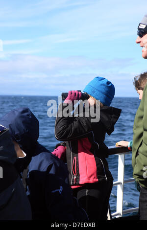 Firth of Forth, Schottland, Großbritannien. 5. Mai 2013. Gutes Wetter fördert die Tagesausflügler, Isle of May zu besuchen. Junges Mädchen an Bord der Princess kann Bioculars verwendet, um eine Nahaufnahme von der Papageientaucher, Tordalken, Trottellummen und andere Seevögel im Anflug auf der Isle of May zu National Nature Reserve in den Firth of Forth in Schottland. Bildnachweis: PictureScotland / Alamy Live News Stockfoto