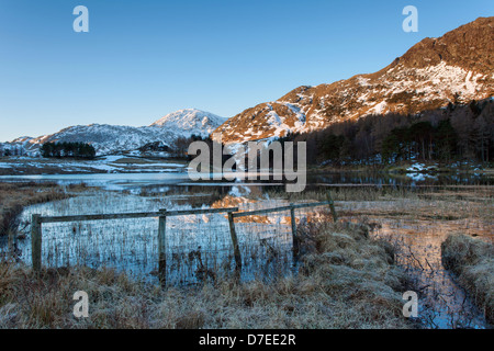 Blea Tarn Zaun und Hügel beleuchtet von der Morgensonne, Lake District, England, UK Stockfoto