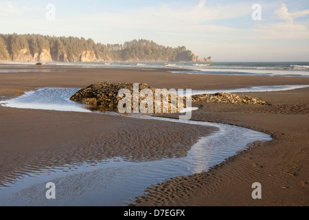 Stream schlängelnd durch Felsen, 2. Strand, Olympic Nationalpark, WA Stockfoto