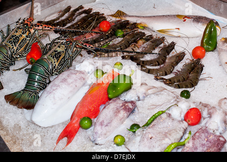 Frische Meeresfrüchte im asiatischen Markt, Hummer, Garnelen und Fisch Stockfoto