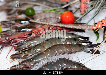 Frische Meeresfrüchte im asiatischen Markt, Hummer, Garnelen und Fisch Stockfoto