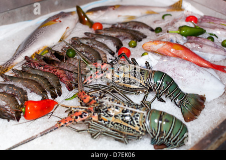 Frische Meeresfrüchte im asiatischen Markt, Hummer, Garnelen und Fisch Stockfoto