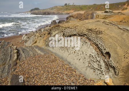 Kiesstrand Bean Hollow State Beach in Kalifornien Stockfoto