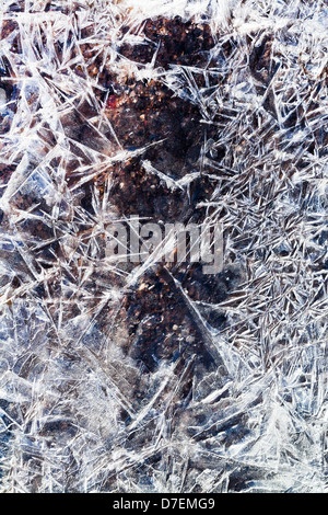 Texsture aus Eiskristallen unter dem gefrorenen Wasser im Frühlingswald Stockfoto