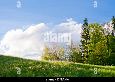 Der Frühling kommt langsam in slowenischen Landschaft. Stockfoto