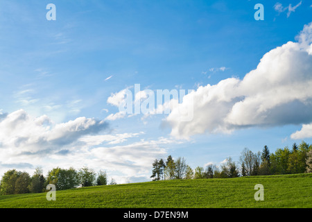 Die Wolken hängen über die Wiese und Bäume. Stockfoto