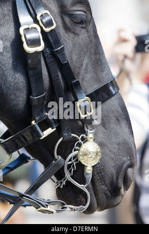 Pferd-Wachposten am Whitehall in London Stockfoto
