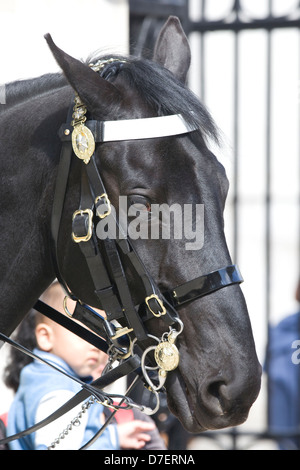 Pferd-Wachposten am Whitehall in London Stockfoto
