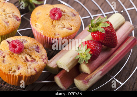 Zwei ganze Muffins und frischen Erdbeeren und Rhabarber auf einem Kuchengitter Kuchen Stockfoto